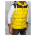 Buďchlap Trendy vesta s kapucí ve žluté barvě