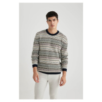 DEFACTO Standard Fit Crew Neck Sweater