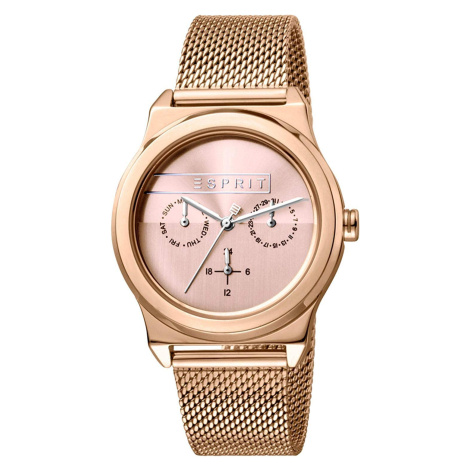 Dámské hodinky Esprit ES1L077M0065