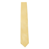 Tyto Saténová kravata TT901 Gold