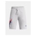 Kraťasy Under Armour UA Project Rock Terry Shorts-GRY