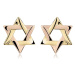 Náušnice ze smíšeného 14karátového zlata - dvoubarevná Davidova hvězda, puzety