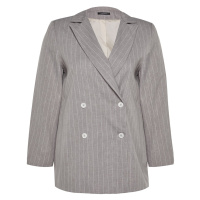 Trendyol Curve Gray Striped Double Closure Woven Jacket