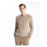 LC Waikiki Lcw Crew Neck Long Sleeve Men's Knitwear Sweater