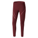 Legíny Dynafit Winter Running Tights W burgundy 2024 Barva: vínová