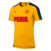 Pánské tričko Puma Arsenal FC Spectra žluté s originálním podpisem Petra Čecha,
