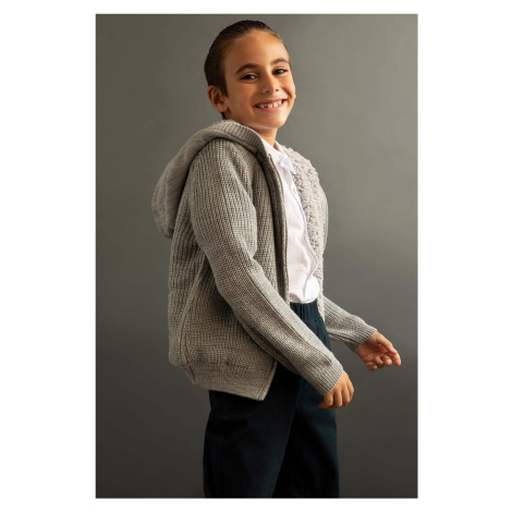 DEFACTO Regular Fit Hooded Cardigan