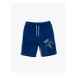 Koton Boys Blue Shorts & Bermuda
