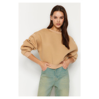 Trendyol Beige Comfort Fit Crop Basic Crew Neck Fleece Inside Knitted Sweatshirt
