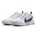 Tenisové boty Nike Zoom Court Pro HC