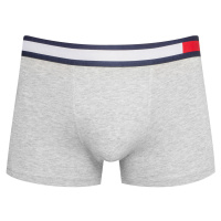 Tommy Hilfiger Pánské boxerky