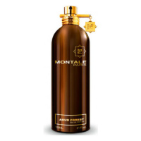 Montale Aoud Forest - EDP 100 ml