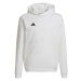 Dětská mikina Entrada 22 Hoody Jr HG6303 bílá - Adidas