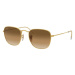 Ray-Ban Frank RB3857 919651 - S (48)