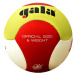 Volejbalový míč GALA Beach Smash Pro BP5363S