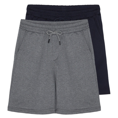 Trendyol Anthracite-Navy Blue Basic Regular/Normal Fit Straight 2-Pack Shorts