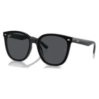 Ray-Ban RB4423D 601/87 - M (66-15-145)