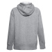 Dámská mikina Rival Fleece Logo W 1356318-035 - Under Armour