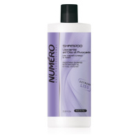 Brelil Professional Smoothing Shampoo uhlazující šampon pro nepoddajné vlasy 1000 ml