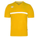 Dětské fotbalové tričko Formation Jr 02009-212 - Zina