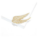Éternelle Brož se zirkony Andělská křídla B7272-XR02561 Zlatá