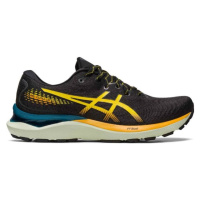 ASICS GEL-CUMULUS 24 TR Pánská běžecká obuv, černá, velikost 43.5