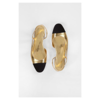 Shoeberry Women's Sefre Gold Shiny Daily Flats