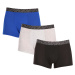 3PACK pánské boxerky Tommy Hilfiger vícebarevné (UM0UM03039 0SH)