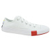 CONVERSE CHUCK TAYLOR ALL STAR JR 366993C