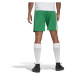 adidas SQUADRA 21 SHORTS Pánské fotbalové šortky, zelená, velikost