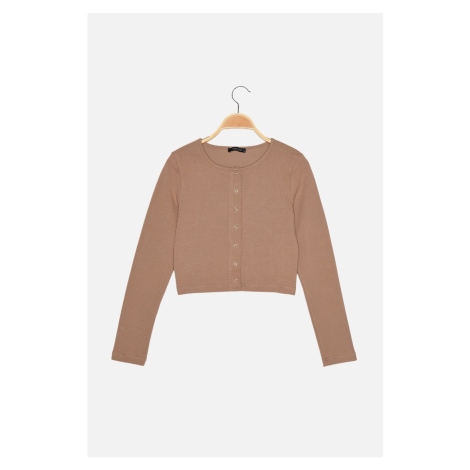 Trendyol Mink Snap Snap Crop Knitted Blouse