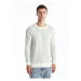 LC Waikiki Crew Neck Long Sleeve Men's Knitwear Sweater