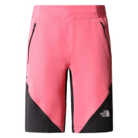 Dámské kraťasy The North Face Stolemberg Alpine Slim Straight Short