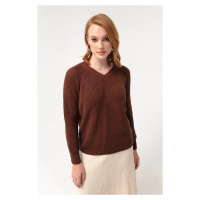 Lafaba Women's Brown V-Neck Knitwear Sweater