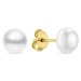 Brilio Silver Půvabné pozlacené náušnice pecky s pravými perlami EA585/6/7/8Y 0,5 cm