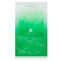 AXIS-Y Mugwort Green Vital Energy Complex Sheet Mask plátýnková maska s hydratačním a zklidňujíc