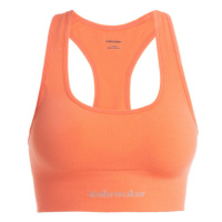 Sportovní podprsenka Icebreaker Women Merino Seamless Active Bra