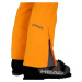Spyder Pánské lyžařské kalhoty M DARE PANTS