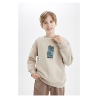 DEFACTO Boy Oversize Fit Wide Mold Crew Neck Printed Sweatshirt