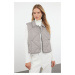 Trendyol Mink Regular Stitching Detailed Quilted Puffer Vest