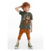 Denokids Little Tiger Boy's T-shirt Capri Shorts Set