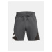 Pánské kraťasy Under Armour Curry Splash Fleece Short