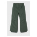 Dětské lyžařské kalhoty Roxy BACKYARD G PT SNPT zelená barva