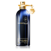 Montale Blue Amber parfémovaná voda unisex 100 ml