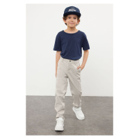 Trendyol Stone Boy Regular Chino Woven School Trousers