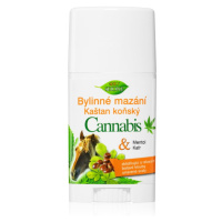 Bione Cosmetics Cannabis + Kaštan Koňský konopné mazání v tyčince 45 ml