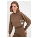 Trendyol Sweatshirt - Brown - Regular fit