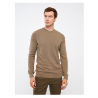 LC Waikiki Crew Neck Long Sleeve Men's Knitwear Sweater