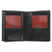 Pánská kožená peněženka Pierre Cardin Brunio, černá