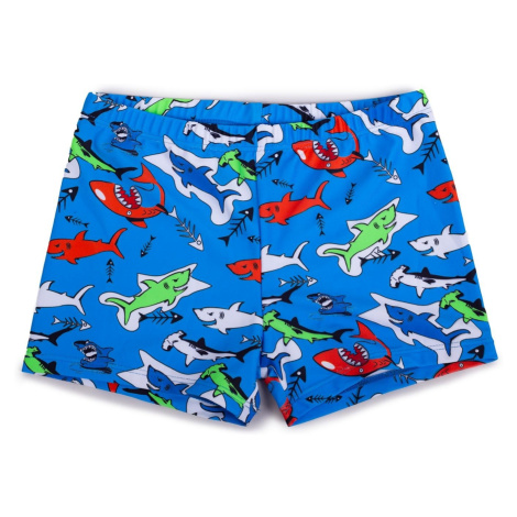 Yoclub Kids's Boys' Swimming Shorts LKS-0060C-A100